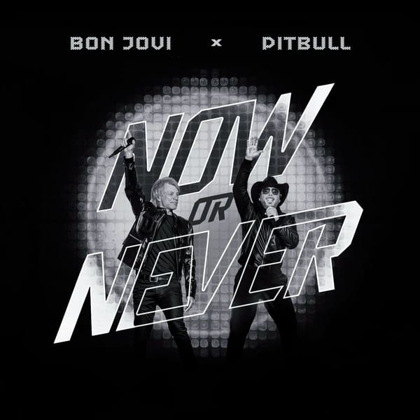 Now Or Never album cover