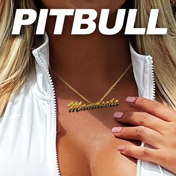 Mamasota cover