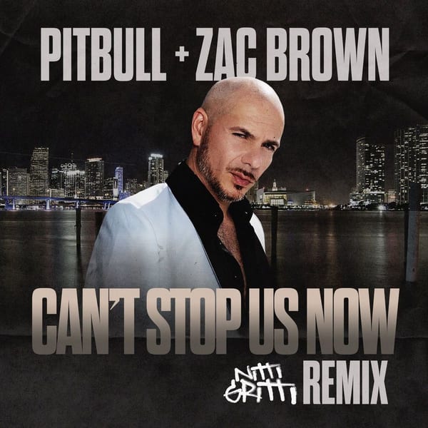 Can't Stop Us Now (Nitti Gritti Remix) cover