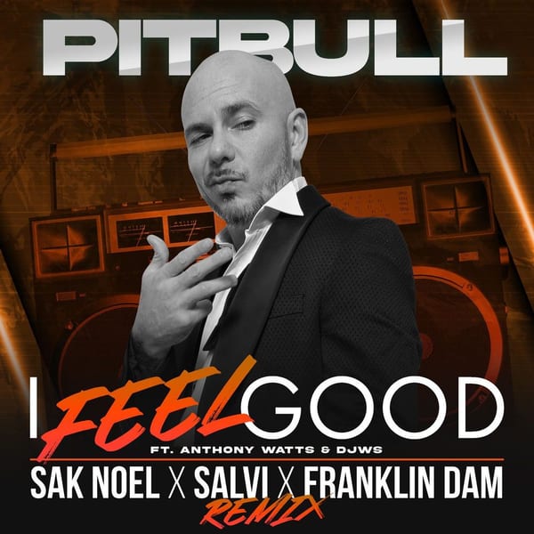 I Feel Good (Sak Noel X Salvi X Franklin Dam Remix) cover