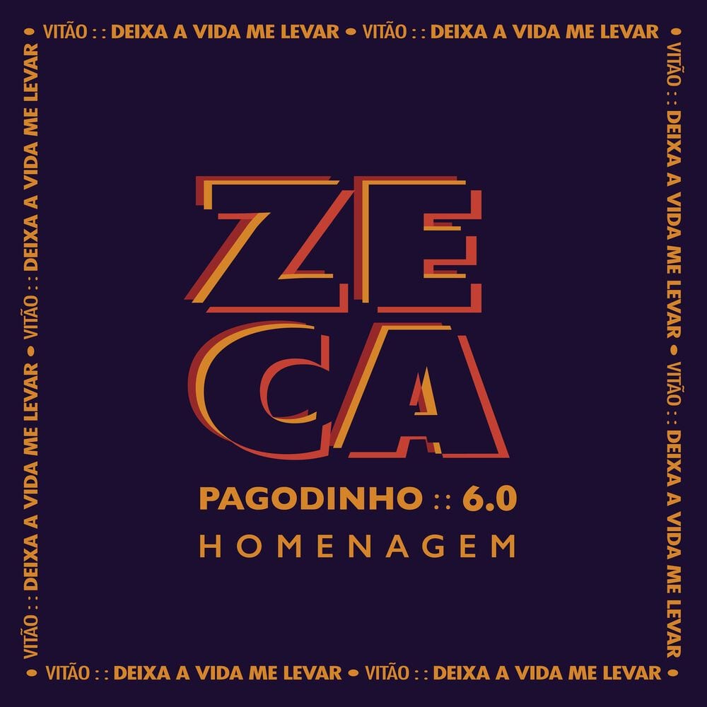 Deixa a vida me levar cover