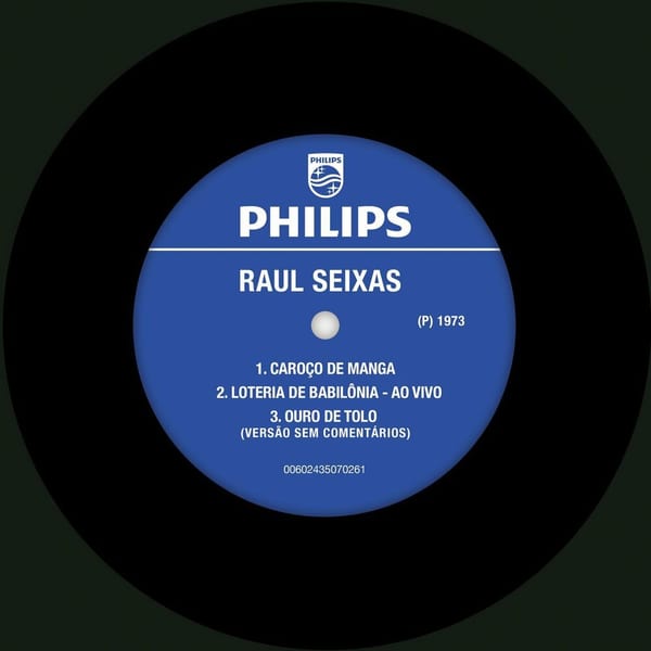 Raul Seixas cover