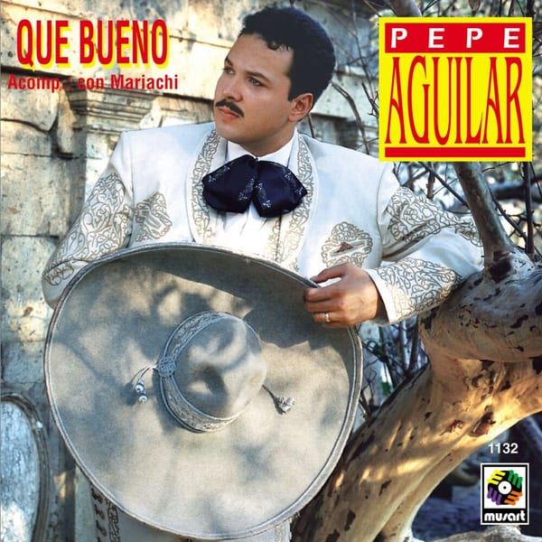 Que bueno cover