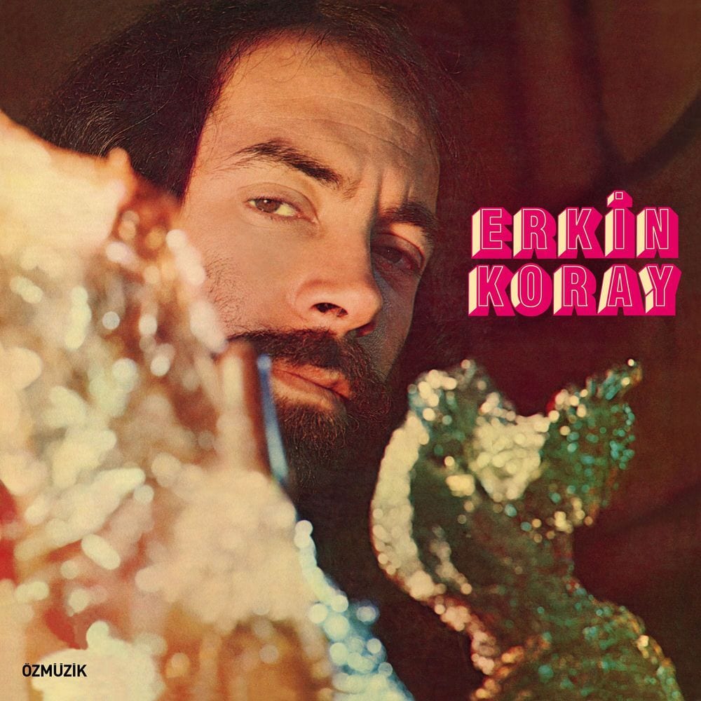 Şaşkın album cover