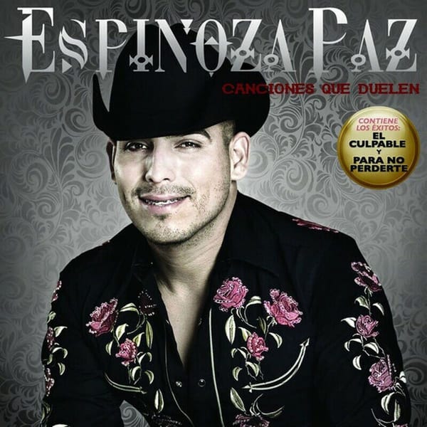 Canciones que duelen cover