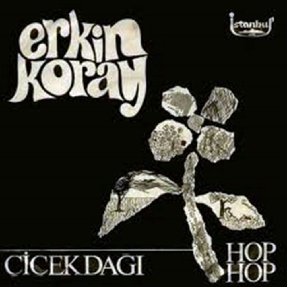 Çiçek Dağı / Hop Hop (45'lik) cover