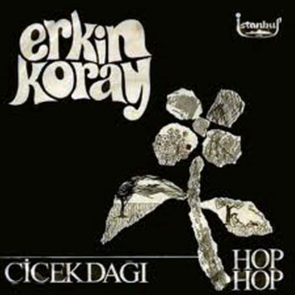 Çiçek Dağı / Hop Hop (45'lik) cover