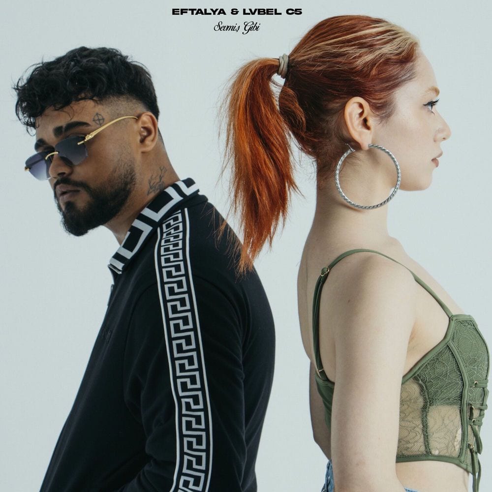Sevmiş Gibi cover