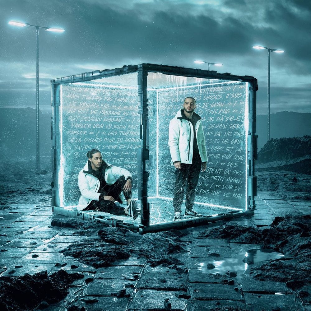 Spleen cover