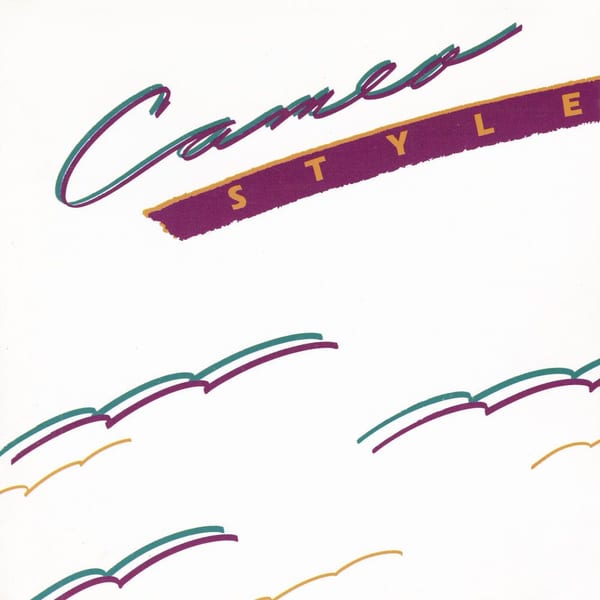 Style cover