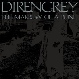 THE MARROW OF A BONE album cover