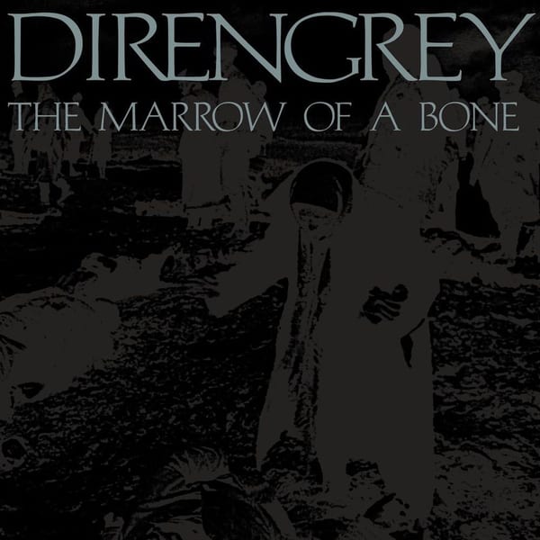 THE MARROW OF A BONE album cover