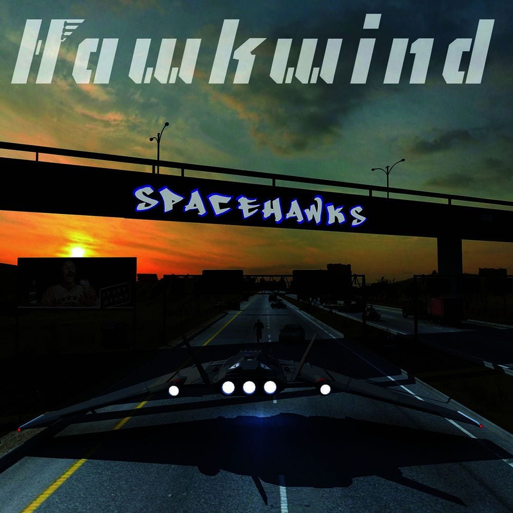Spacehawks