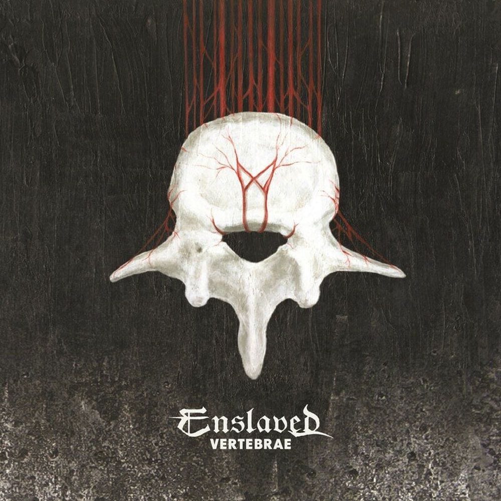 Vertebrae cover