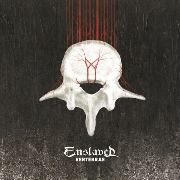 Vertebrae cover