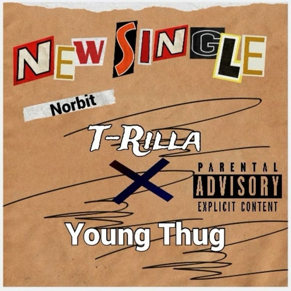 Norbit cover