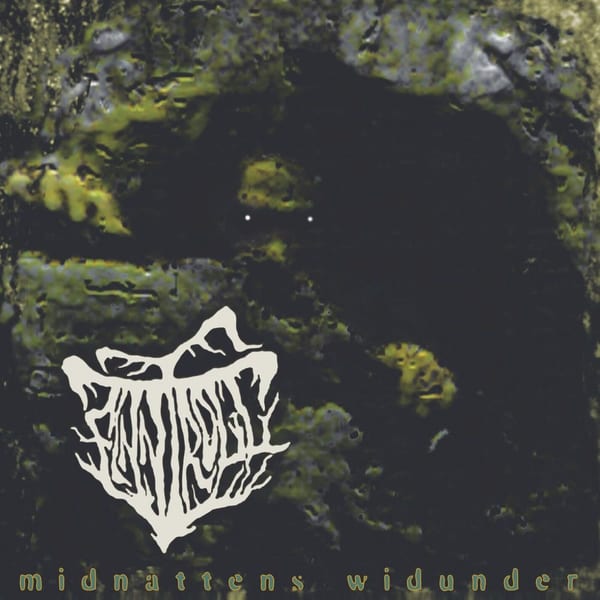 Midnattens widunder cover