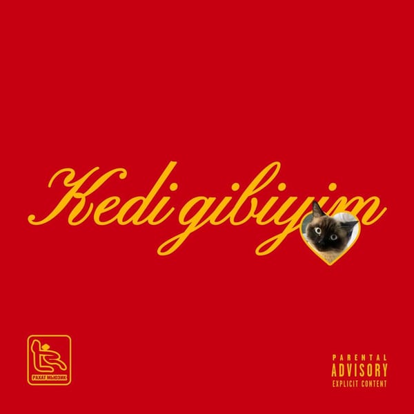 Kedi gibiyim cover