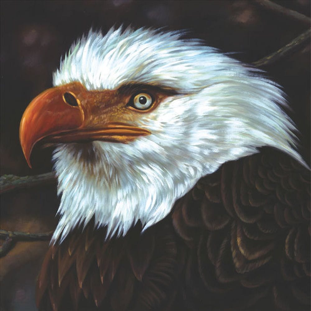 The Hawk Is Howling cover