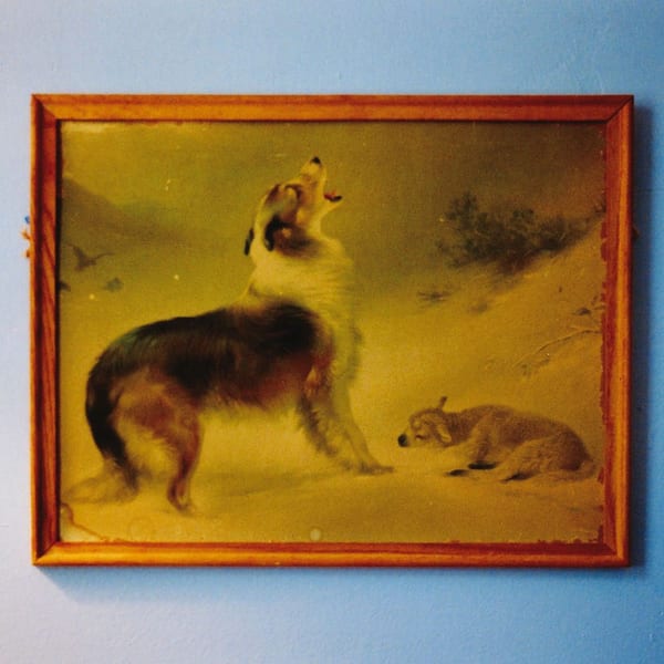 The Rescue cover