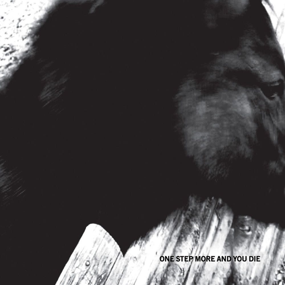 One Step More and You Die cover