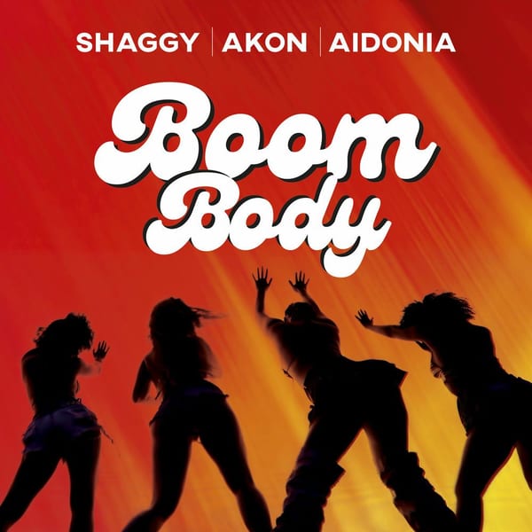 Boom Body cover