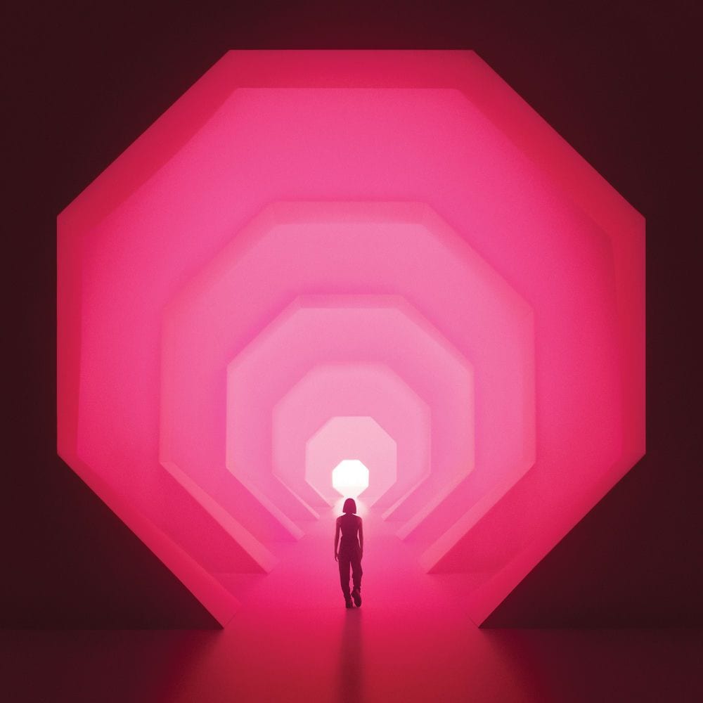 Amnioverse cover