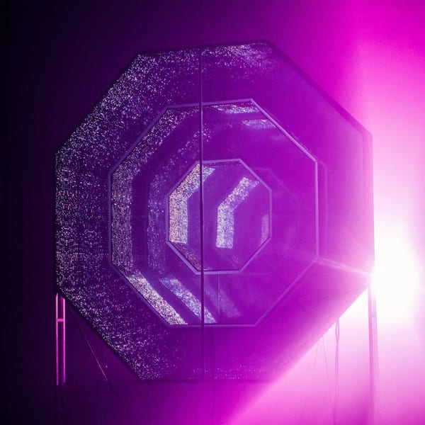Esrevoinma cover