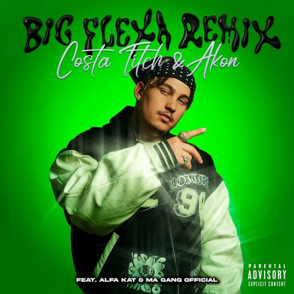 Big Flexa (Remix) cover
