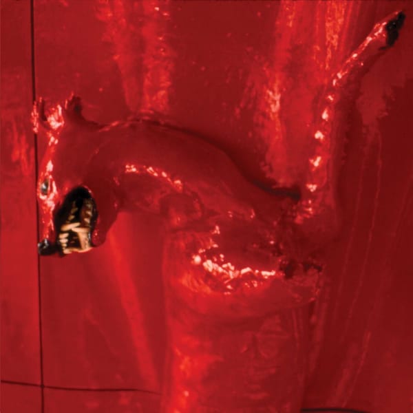A Red Score in Tile cover