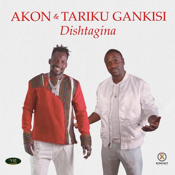 Dishtagina cover