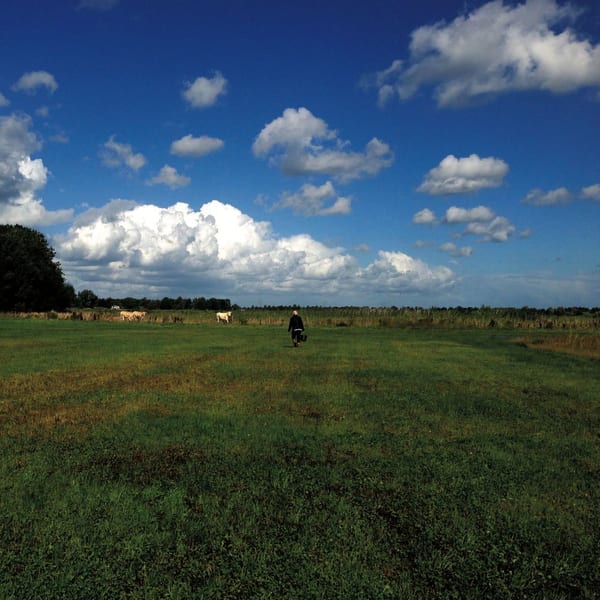 The Hilvarenbeek Recordings cover