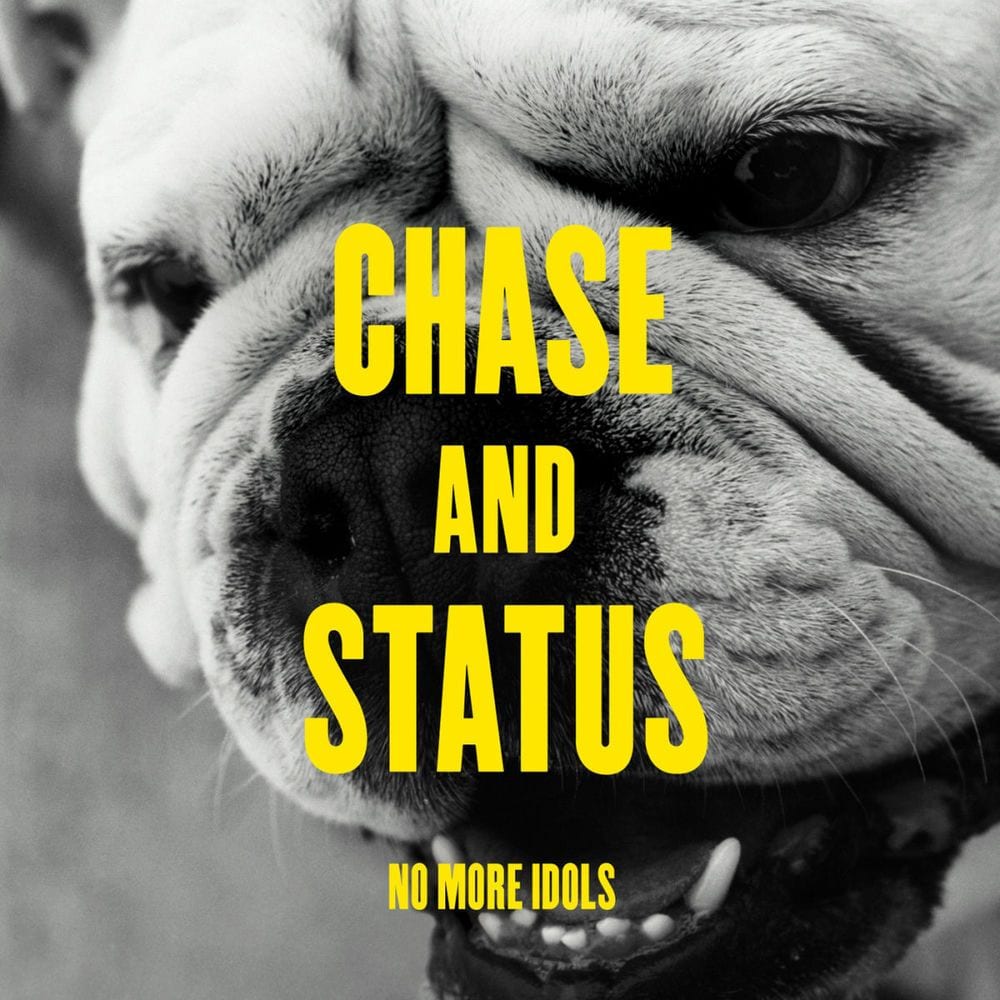 No More Idols cover