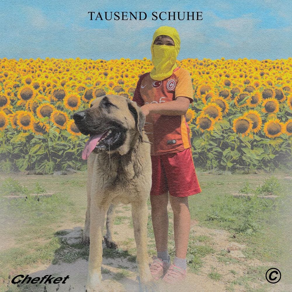 Tausend Schuhe cover