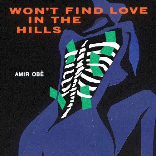 Won’t Find Love in the Hills album cover