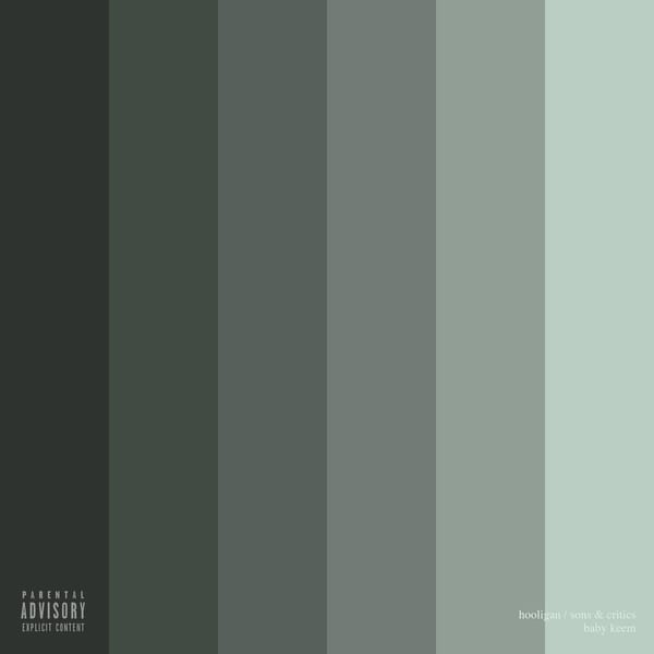 hooligan / sons & critics cover