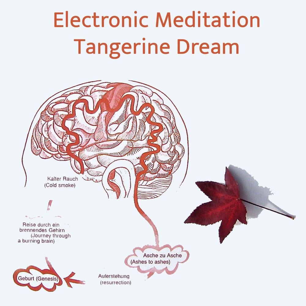 Electronic Meditation cover