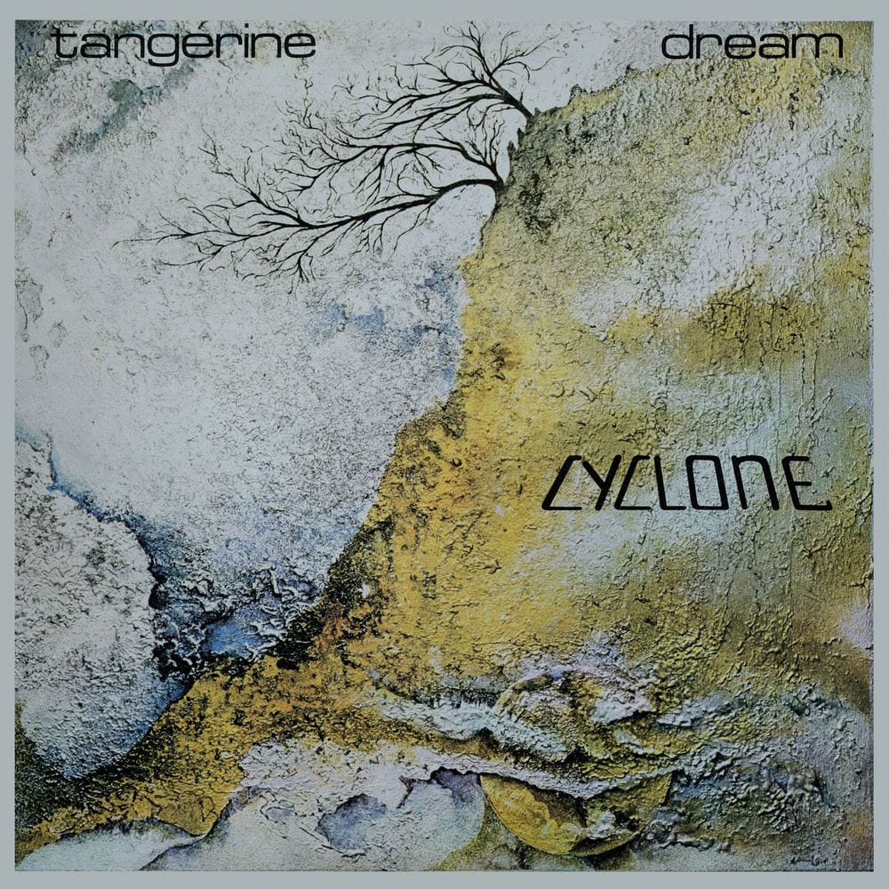 Cyclone cover