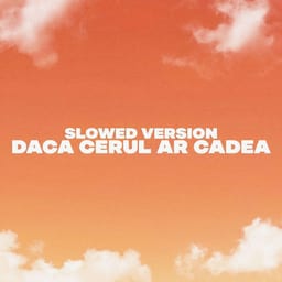 Daca cerul ar cadea (Slowed Version) album cover