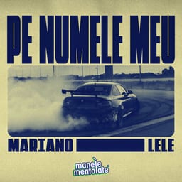 Pe numele meu album cover
