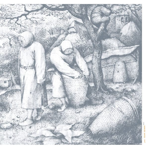 White2 cover