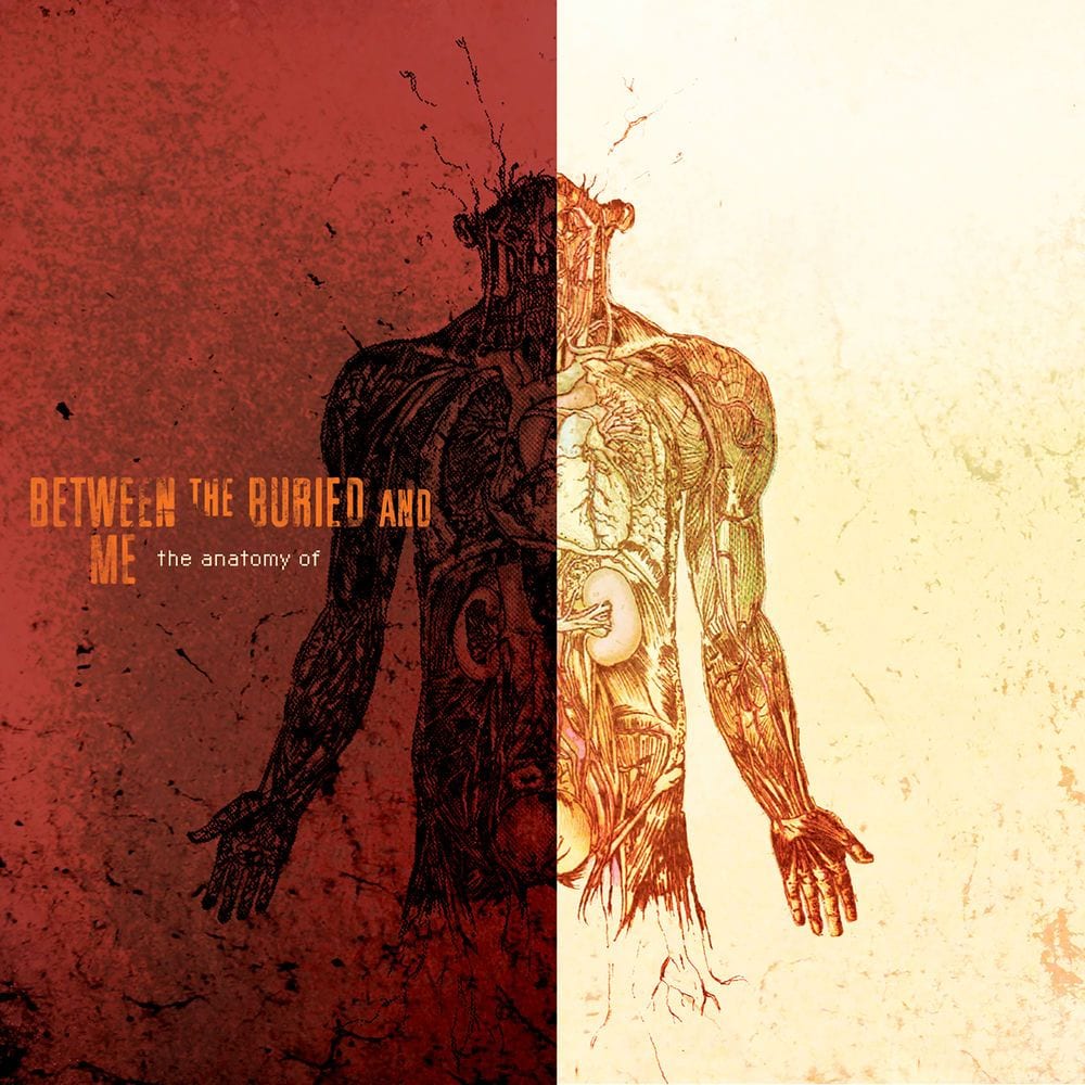 The Anatomy Of cover