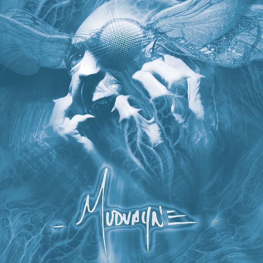 Mudvayne cover