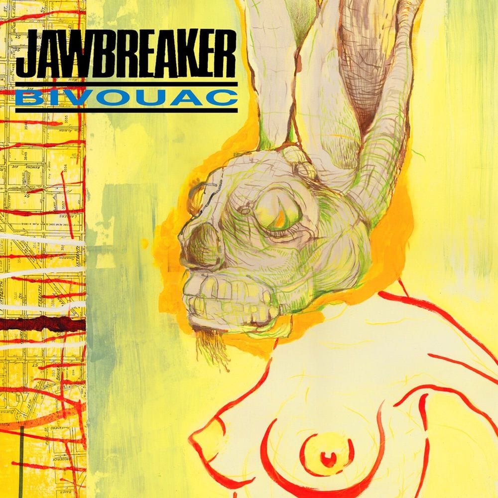 Bivouac cover