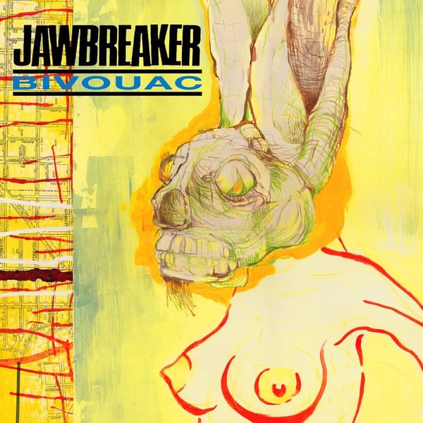 Bivouac cover