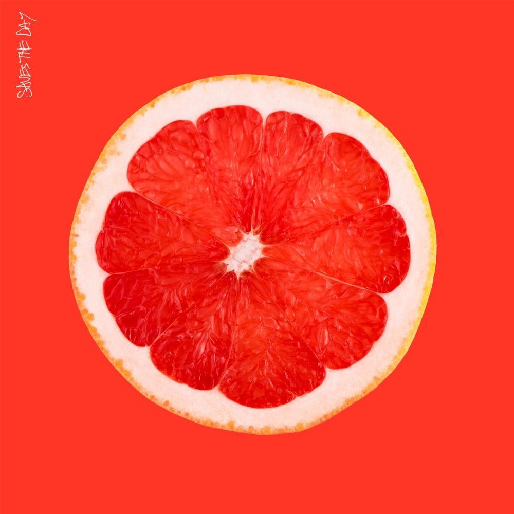 Saves the Day cover