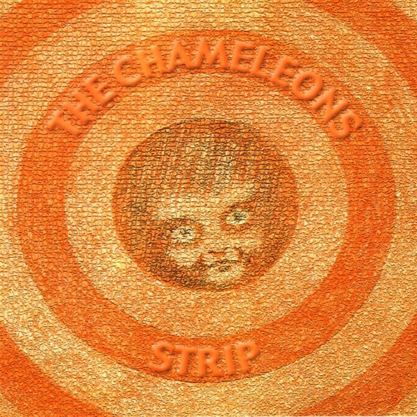 Strip cover