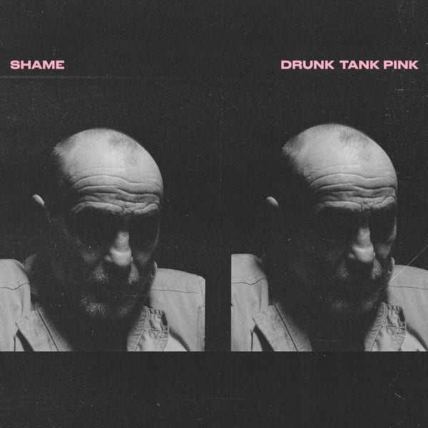 Drunk Tank Pink album cover