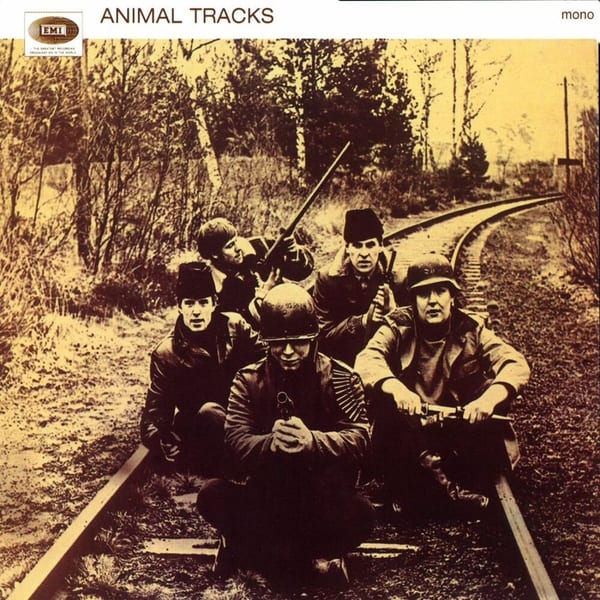 Animal Tracks cover