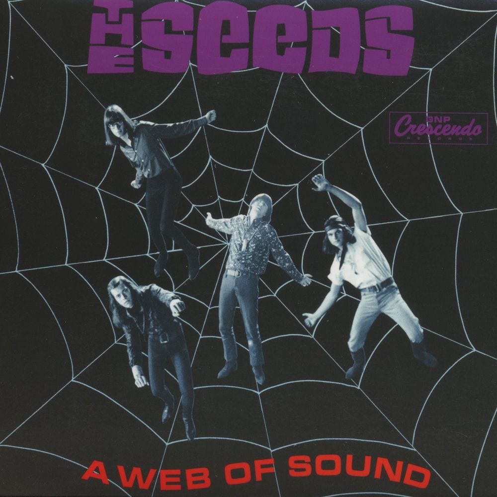 A Web of Sound cover